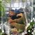 Maxi Gutierrez's profile image