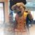Kaileigh Row's profile image