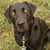 Alecia Fohlin-Parker's profile image
