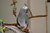Michele B.'s profile image