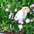 Tiffany Dawn Hasse's profile image