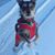 Charles Botts's profile image