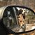 Gladys Martinez's profile image