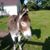 Ann Brannelly's profile image