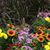 Kathy Boland's profile image