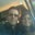 Damian Alberti's profile image