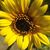 Eve Hepler's profile image