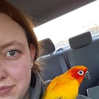 Sabrina Stadther's profile image