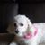 Marcelia Engelking's profile image