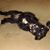 Deborah McHenry Fulton's profile image