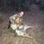 Kelly Brown's profile image