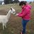 Nina Bellairs's profile image