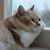 Andie Goettsch's profile image