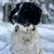 Robert Belshe's profile image