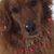 Wendy Horwitz Ketcham's profile image
