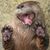 Yuly Margulis's profile image