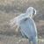 Karen Wachsmuth's profile image