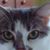 Eileen Brown's profile image
