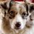 Ellen Olmstead's profile image