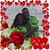 Latonia Cook's profile image