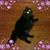 Kathi Moses Westhoff's profile image
