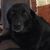 Mary Lloyd's profile image