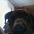 Diane Medema's profile image