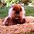 Joanie Sullivan's profile image