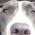 Jay Bielecki's profile image