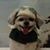 Marvin Hamrick's profile image