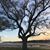 Elaine Chervony Reilly's profile image