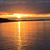 Mike Asher's profile image