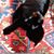 Sandy Nobes Tyndall's profile image