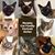 Debra Yelen Murphy's profile image