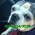 Carlos L. Felfle's profile image