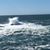 Janet Peterson's profile image