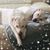 Dalila Gonzalez's profile image