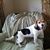 Nancy Rice's profile image