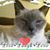 Carol Hern's profile image