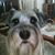 Kathryn Magnelli's profile image