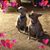 Kathy Ackley's profile image