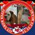 Linda Staico's profile image