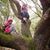 Krystal Dukek Donica's profile image