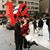 Eliscia J. Reiss's profile image