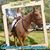 Rosemary Jones Stoll's profile image