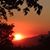 Carol Gustavson Tasco's profile image