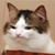 Callie Shackelford's profile image