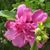 Susan Edwards's profile image