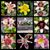 Heather Myers's profile image
