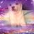 Lee Dia's profile image